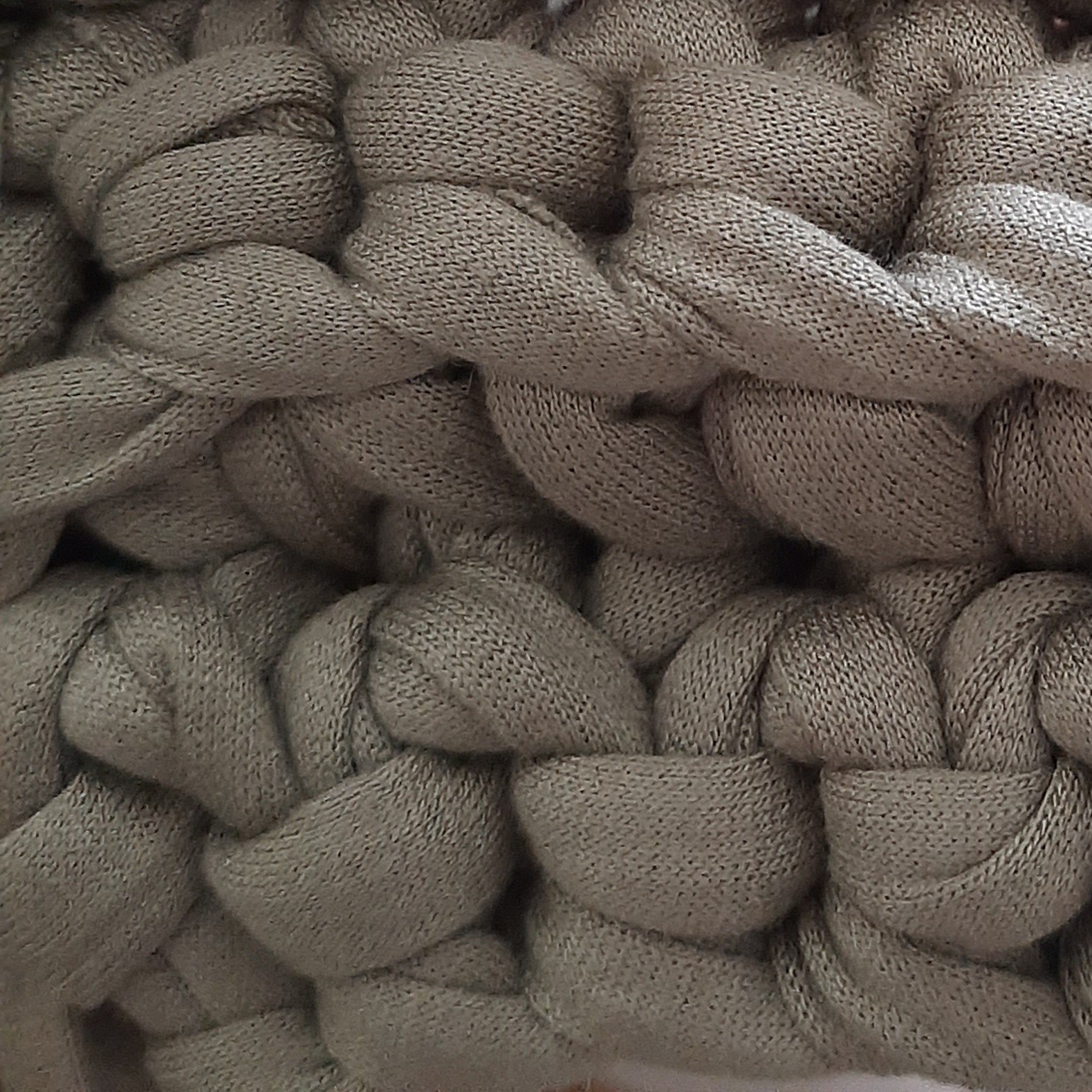 Verde Musgo 